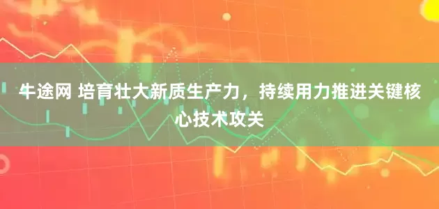 牛途网 培育壮大新质生产力，持续用力推进关键核心技术攻关