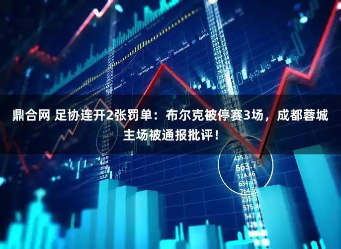 鼎合网 足协连开2张罚单：布尔克被停赛3场，成都蓉城主场被通报批评！